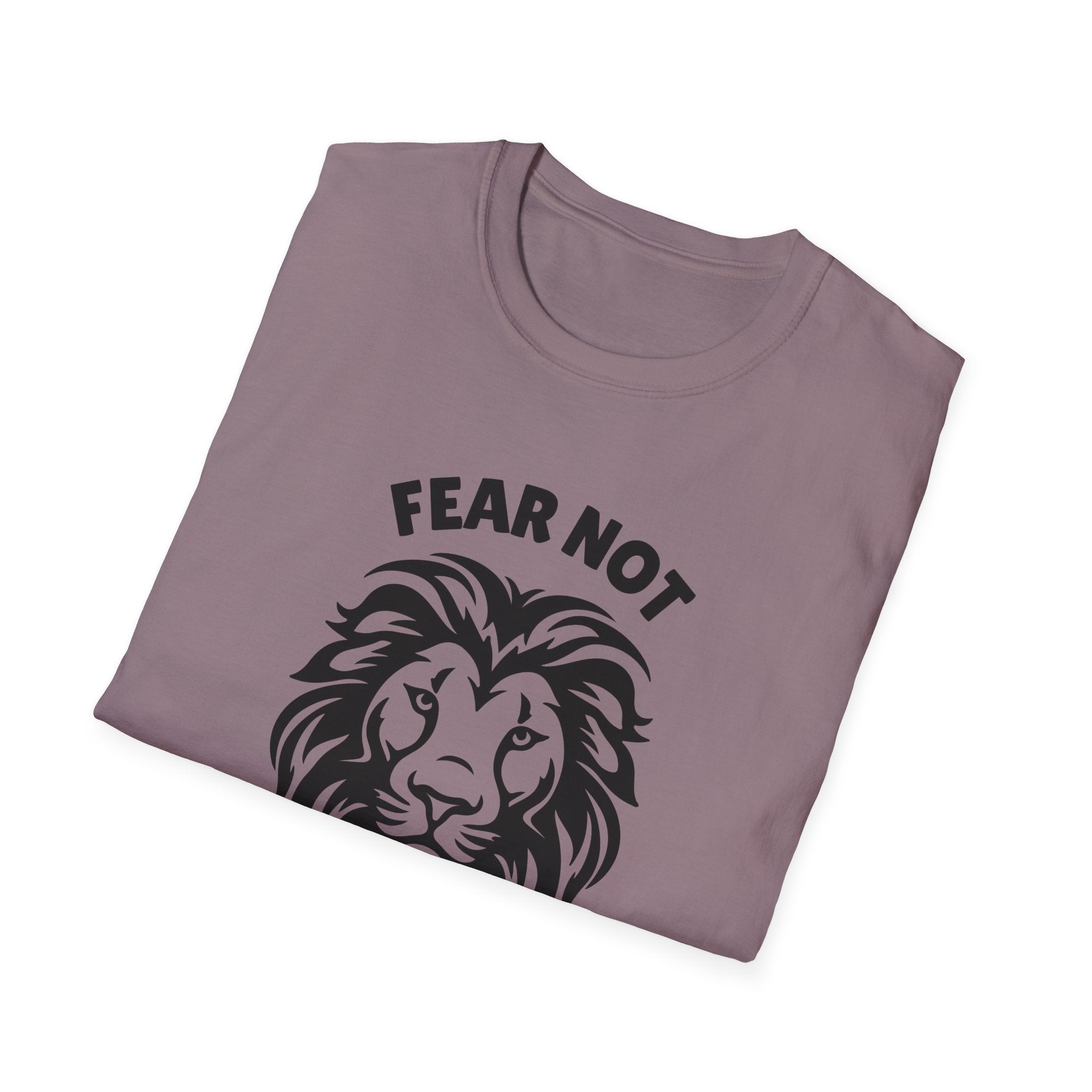Fear Not Isaiah 41 T-shirt