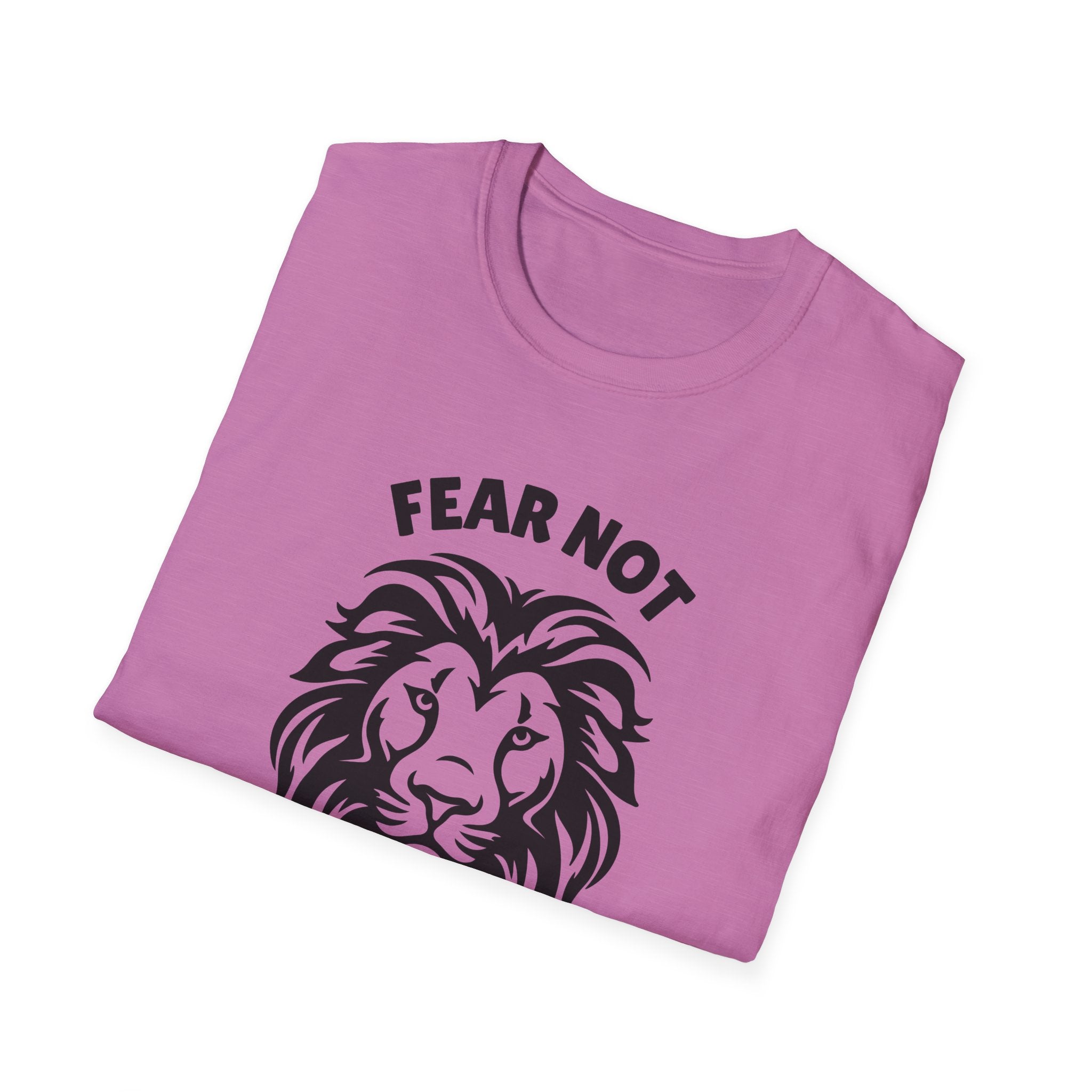 Fear Not Isaiah 41 T-shirt