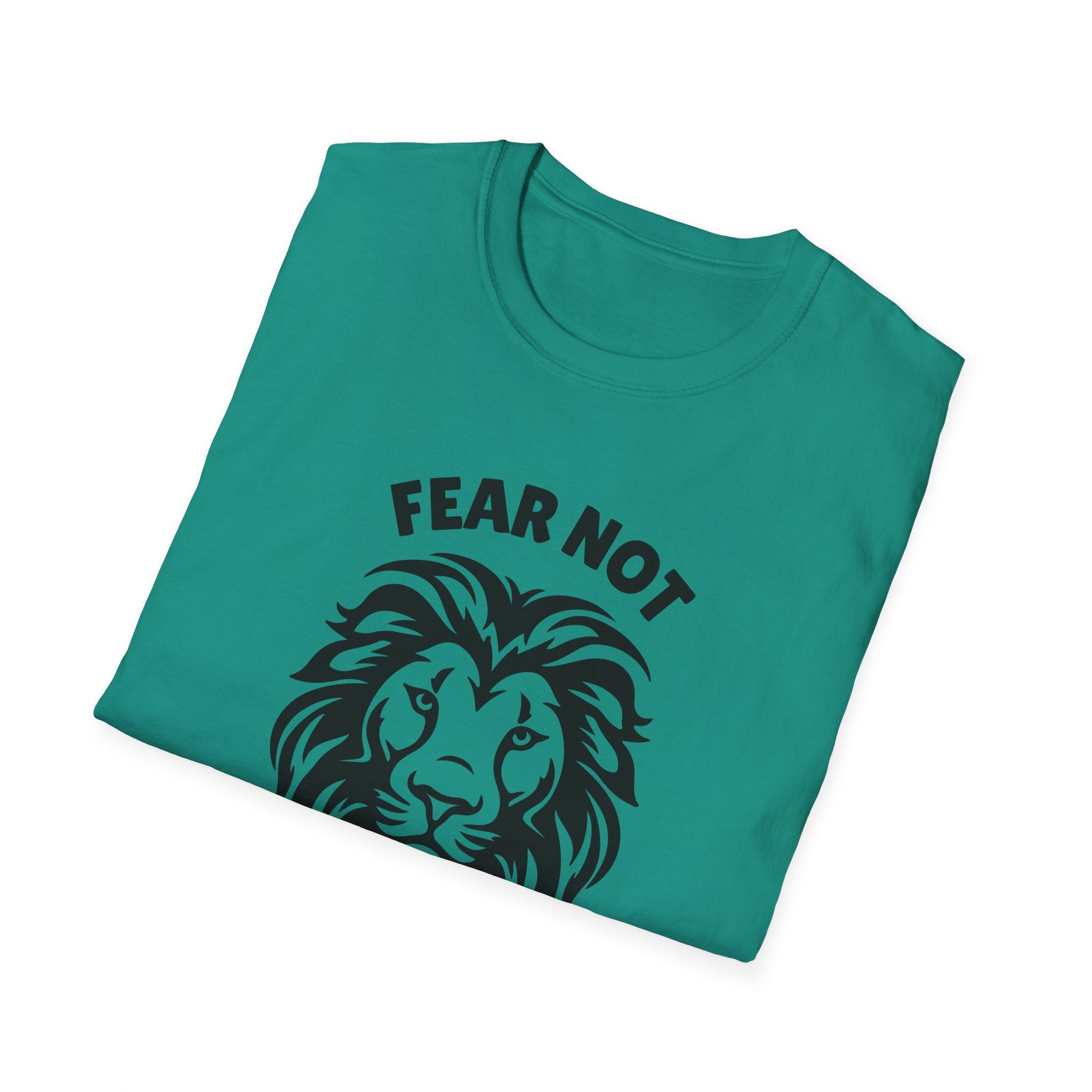 Fear Not Isaiah 41 T-shirt