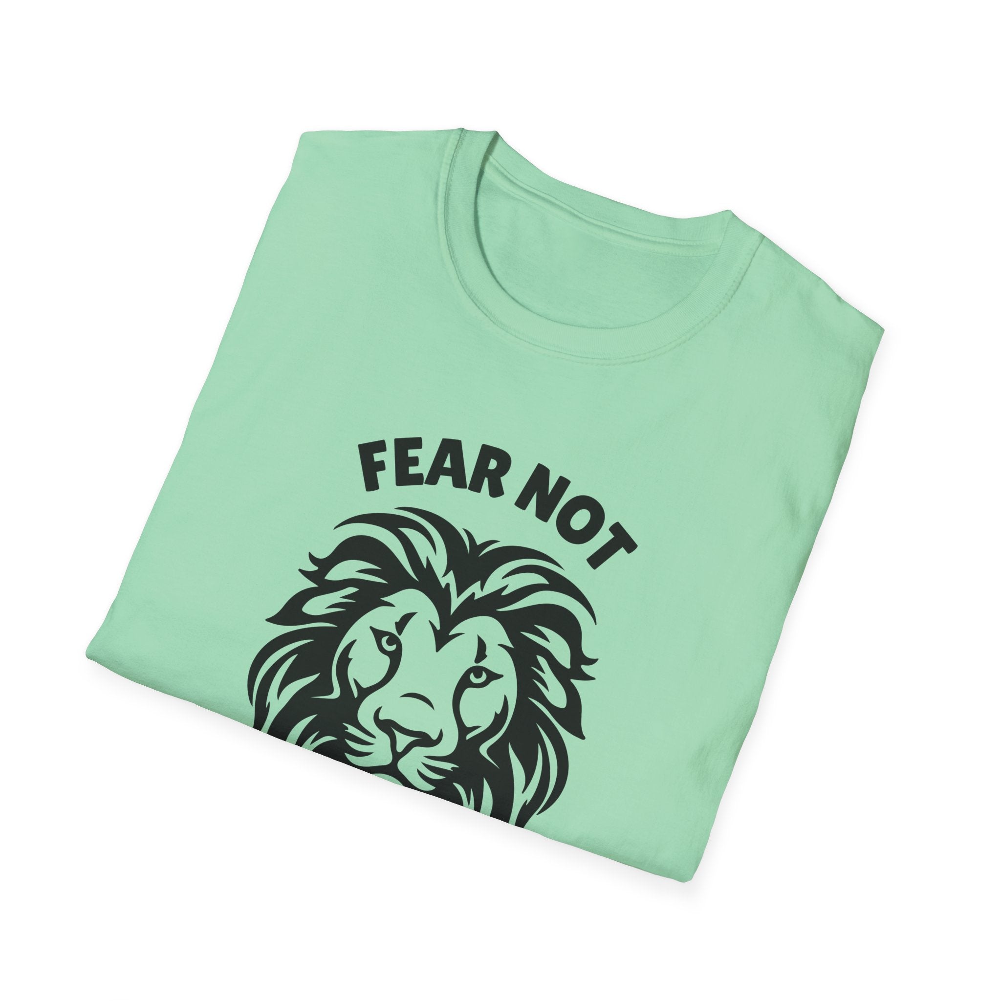 Fear Not Isaiah 41 T-shirt