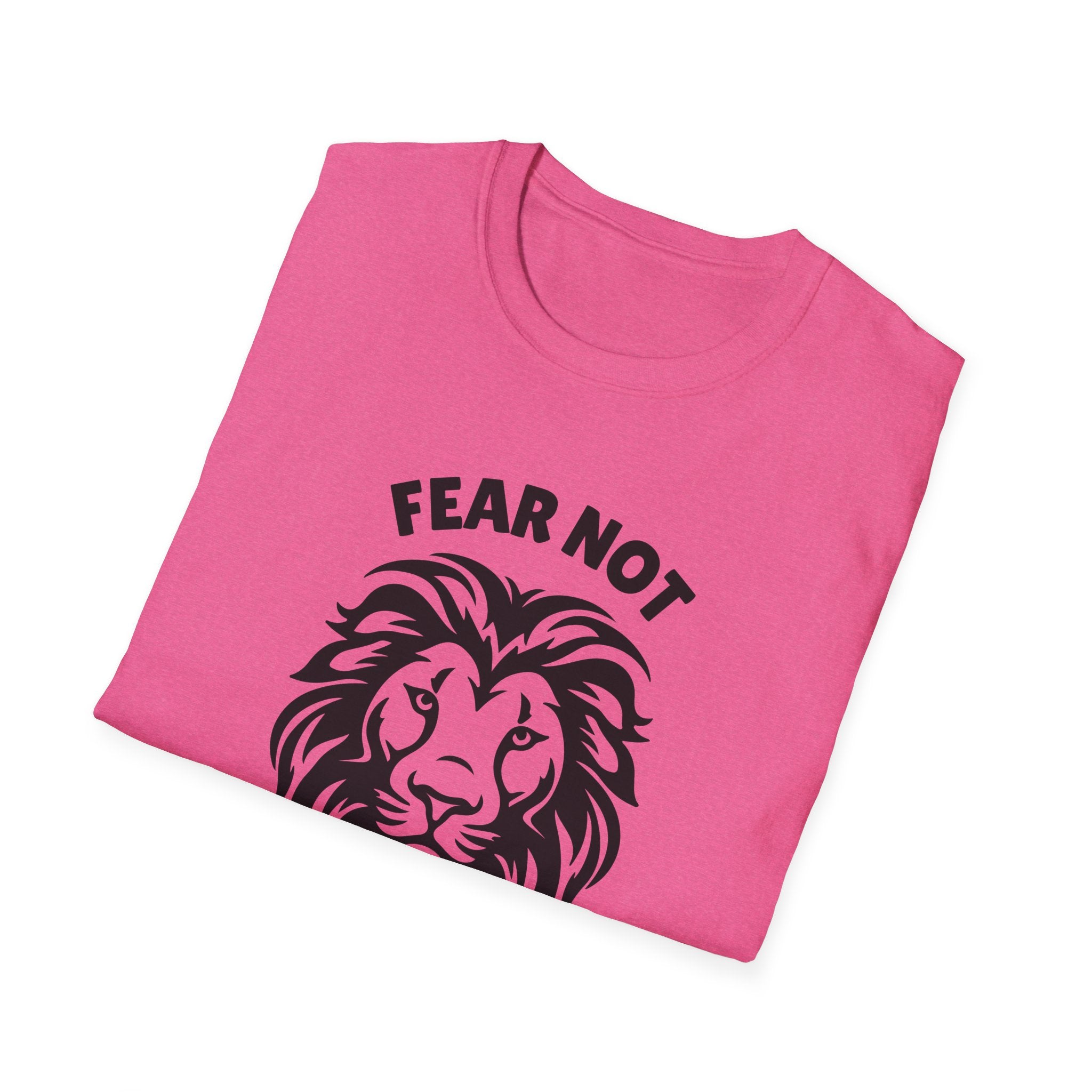 Fear Not Isaiah 41 T-shirt